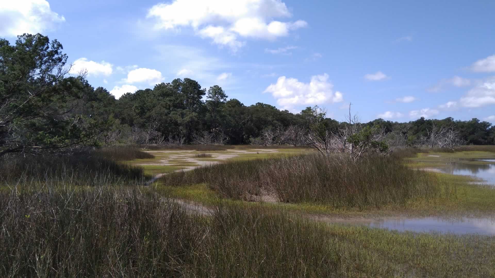 Marsh Aire Marshland Preserve - Edisto Island Open Land Trust, South ...