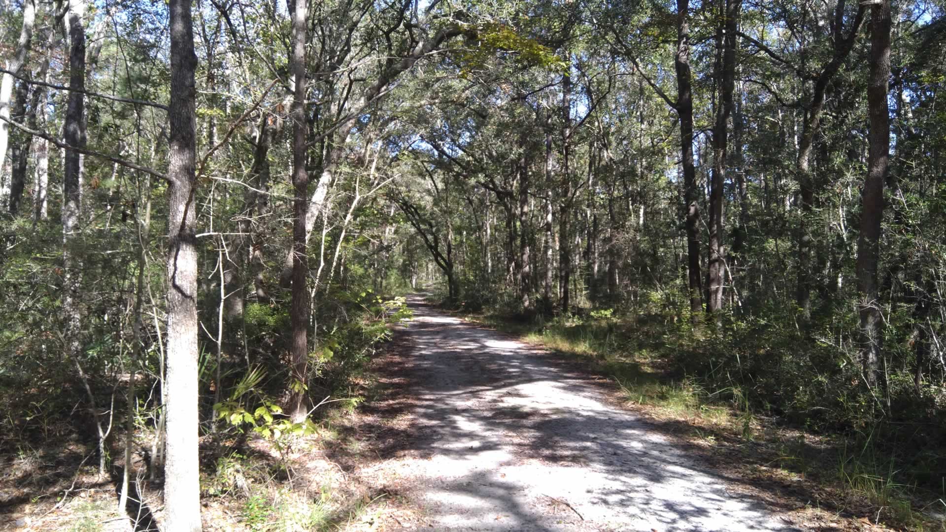 Russell Creek - Melchers - Edisto Island Open Land Trust, South Carolina