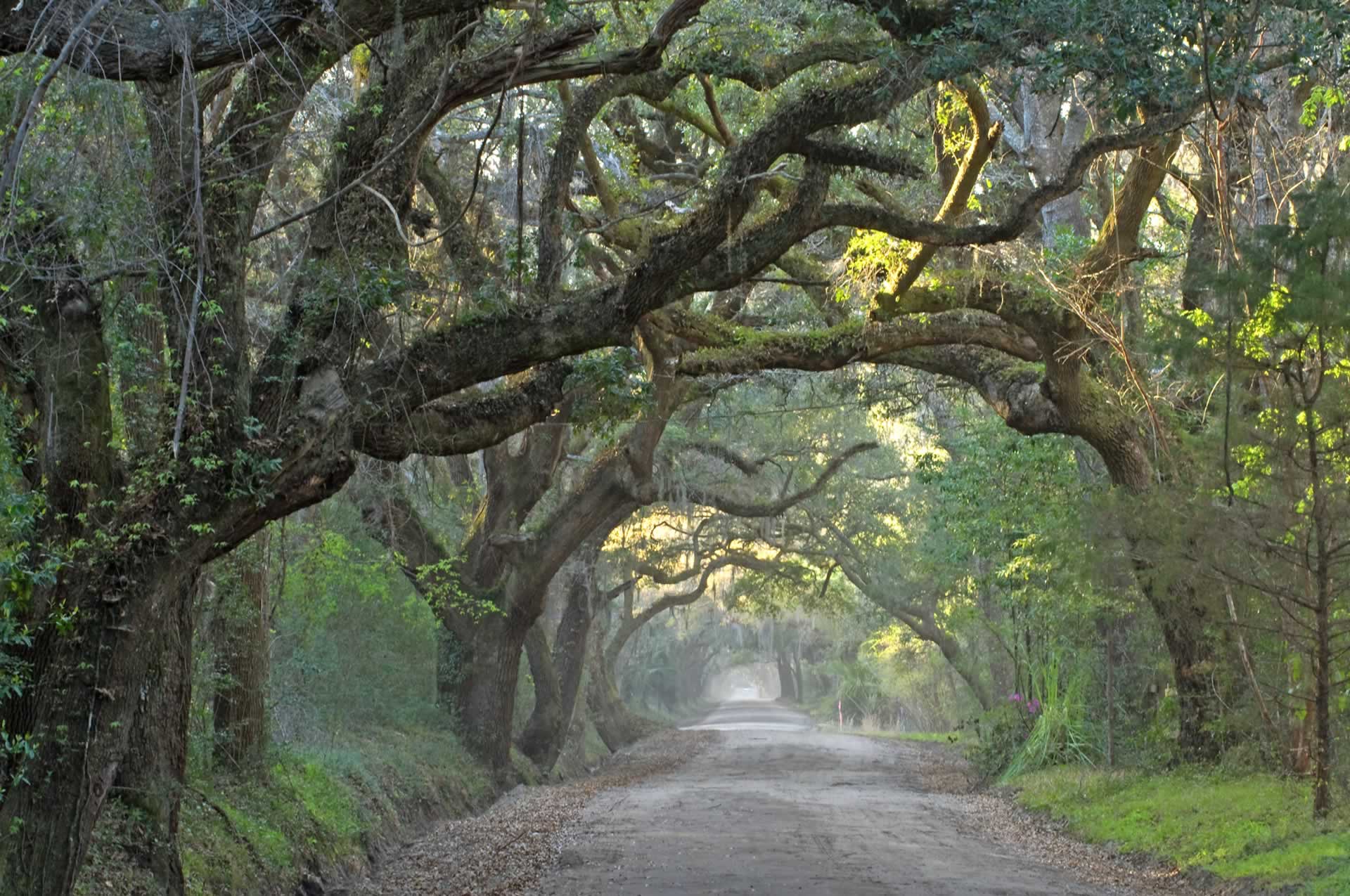 Steamboat Landing Buffer - Edisto Island Open Land Trust, South Carolina