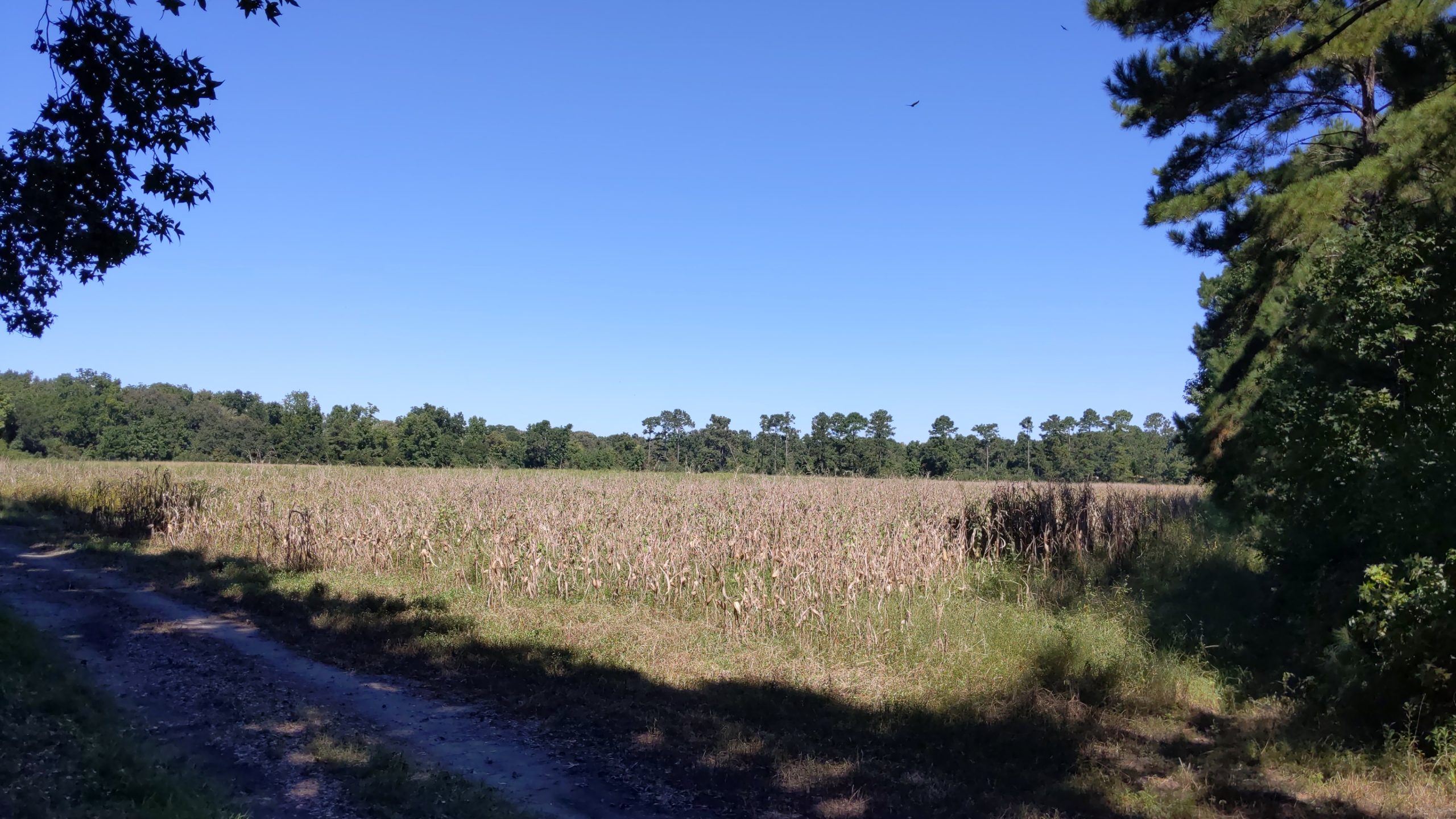 Edisto Island Community Recreation Area Edisto Island Open Land Trust
