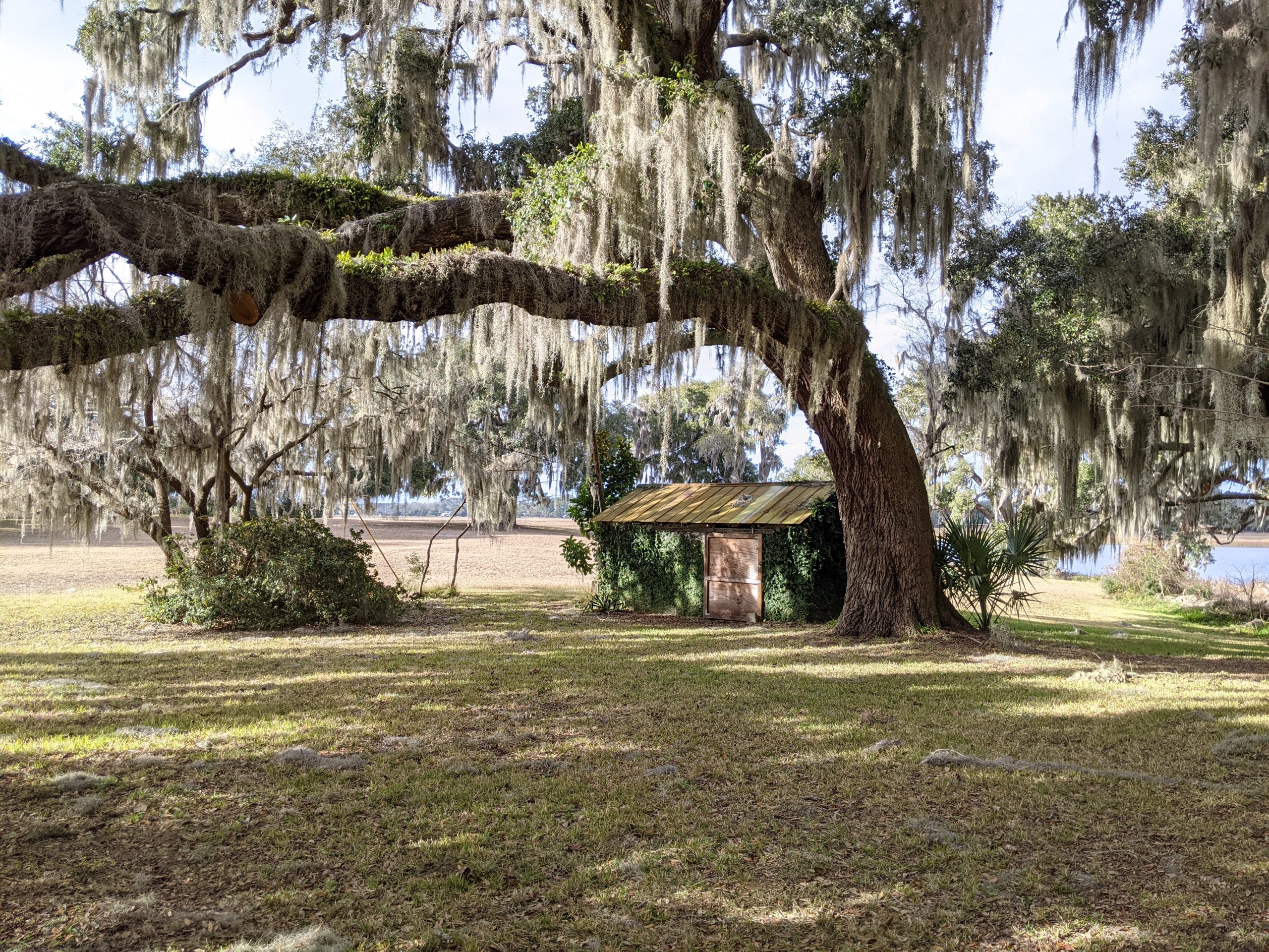 Little Britton G. King Edisto Island Open Land Trust, South Carolina