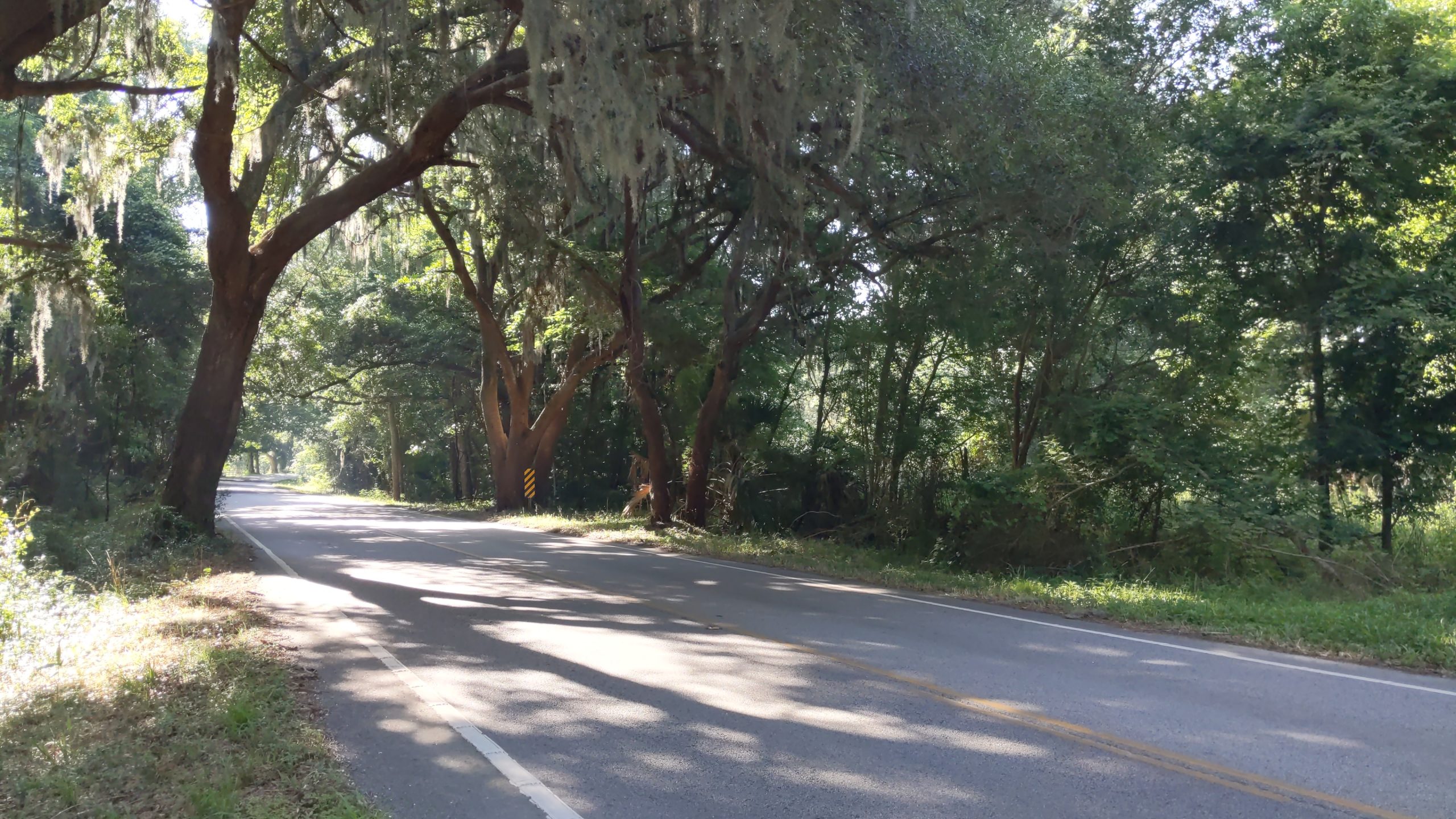 KeefeKinlaw Scenic Buffer Edisto Island Open Land Trust, South Carolina