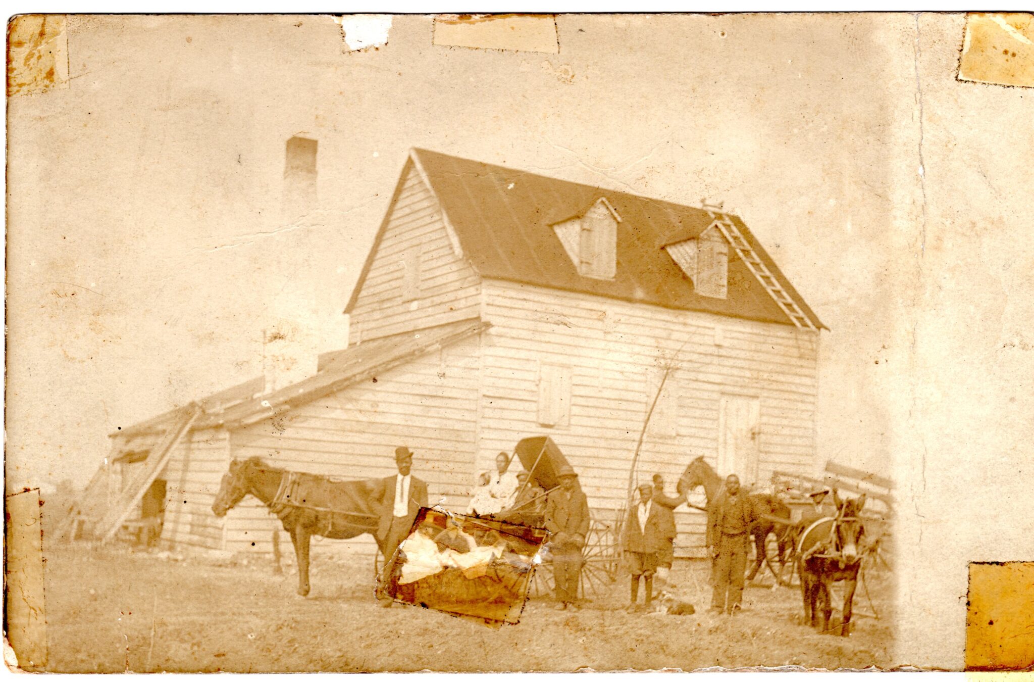 Sea Island Cotton Edisto Island Open Land Trust, South Carolina